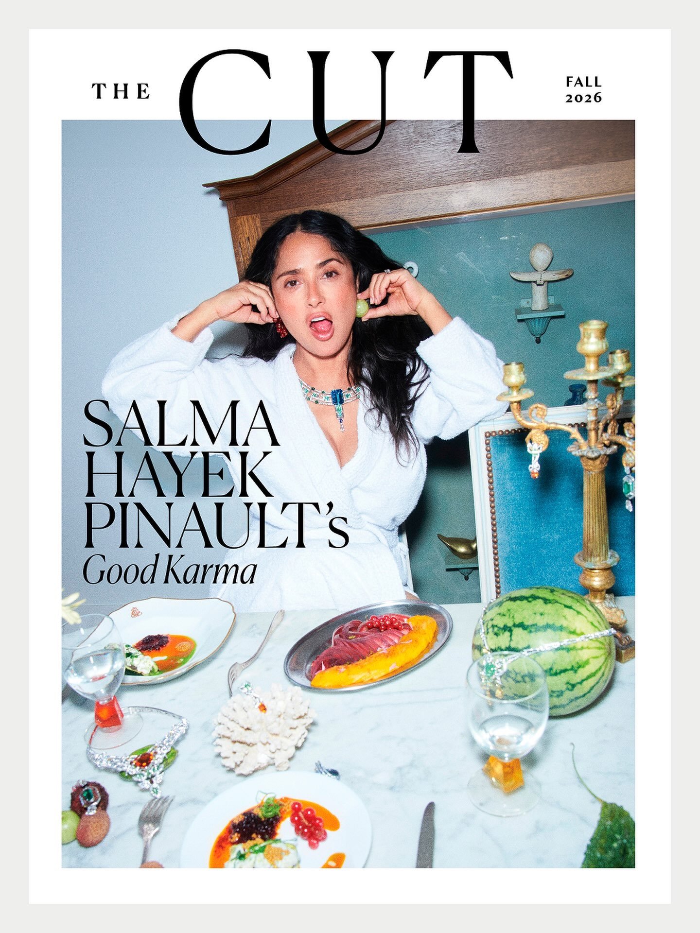 NEWYORK THE CUT MAGAZINE-FALL 2026-RANDOM COVER-BRAND NEW - Image 2