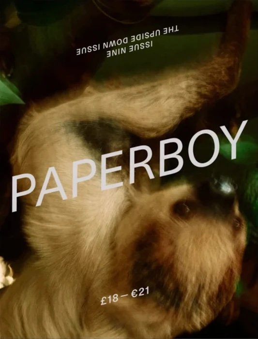 PAPERBOY-ISSUE 9-THE UPSIDE DOWN ISSUE-BRAND NEW