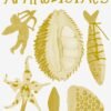 APARTAMENTO-COOKBOOK 10-APHRODISIACS-BRAND NEW